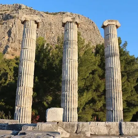 The Lea Ξενοδοχείο *